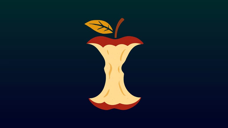 Det var ikke min skyld