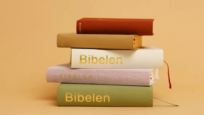 Hvordan bør den nye bibeloversættelse adskille sig fra den nuværende?