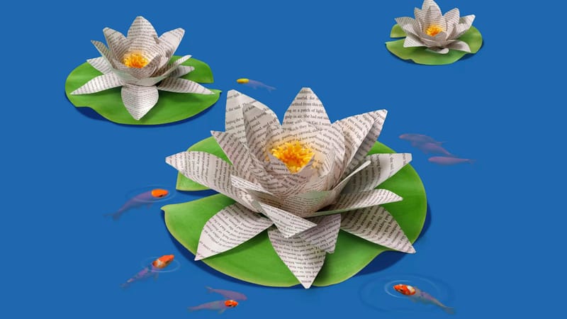 5 bøger til sommerferien