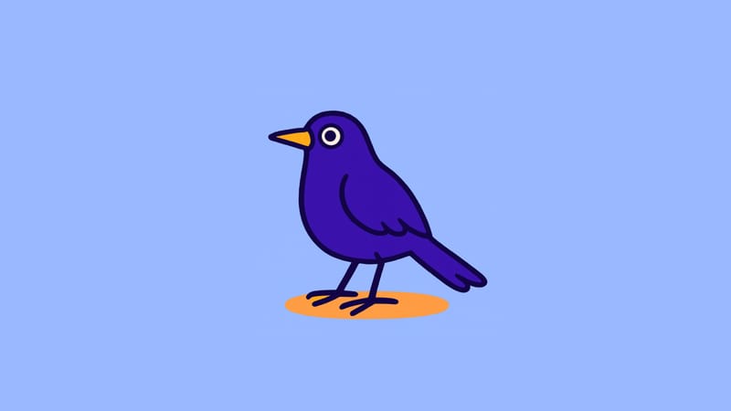 Jeg kigger på fugle – sådan lidt i hvert fald