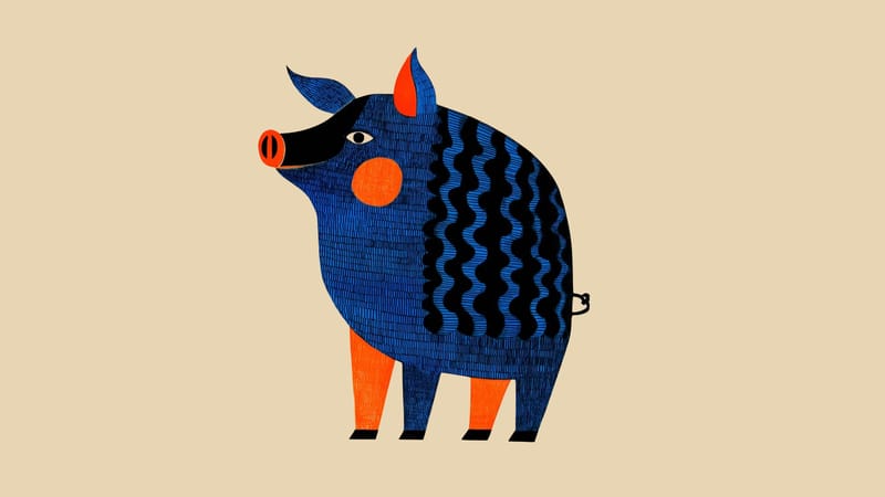 Kirken står også overfor et ‘svinevalg’