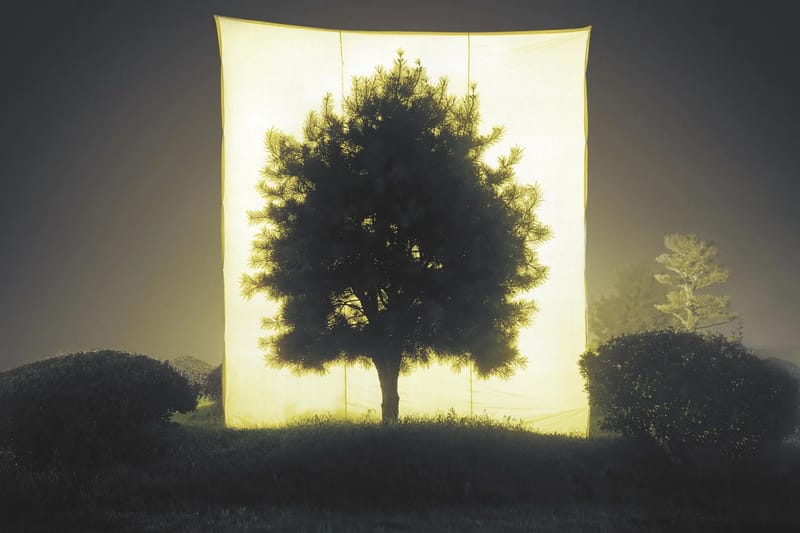 Lad os genvinde det hellige